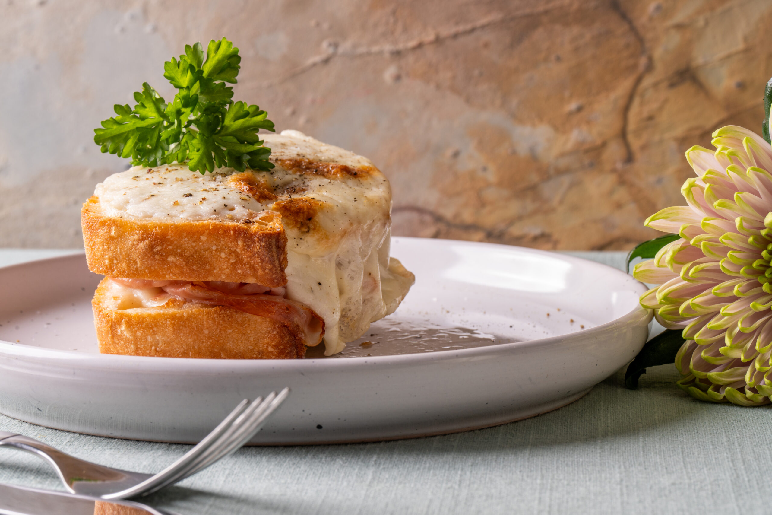 Croque-Monsieur-ohne-Kaese-202404q-PP