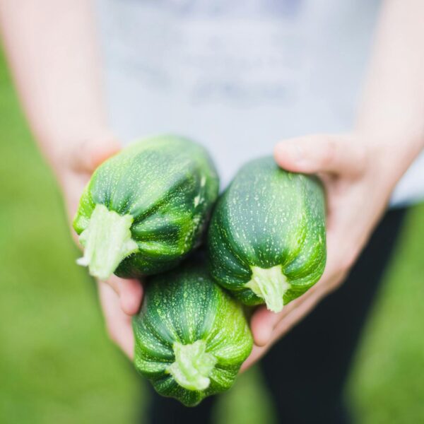 Person hält drei Zucchinis in die Kamera, nur die Hände sind sichtbar