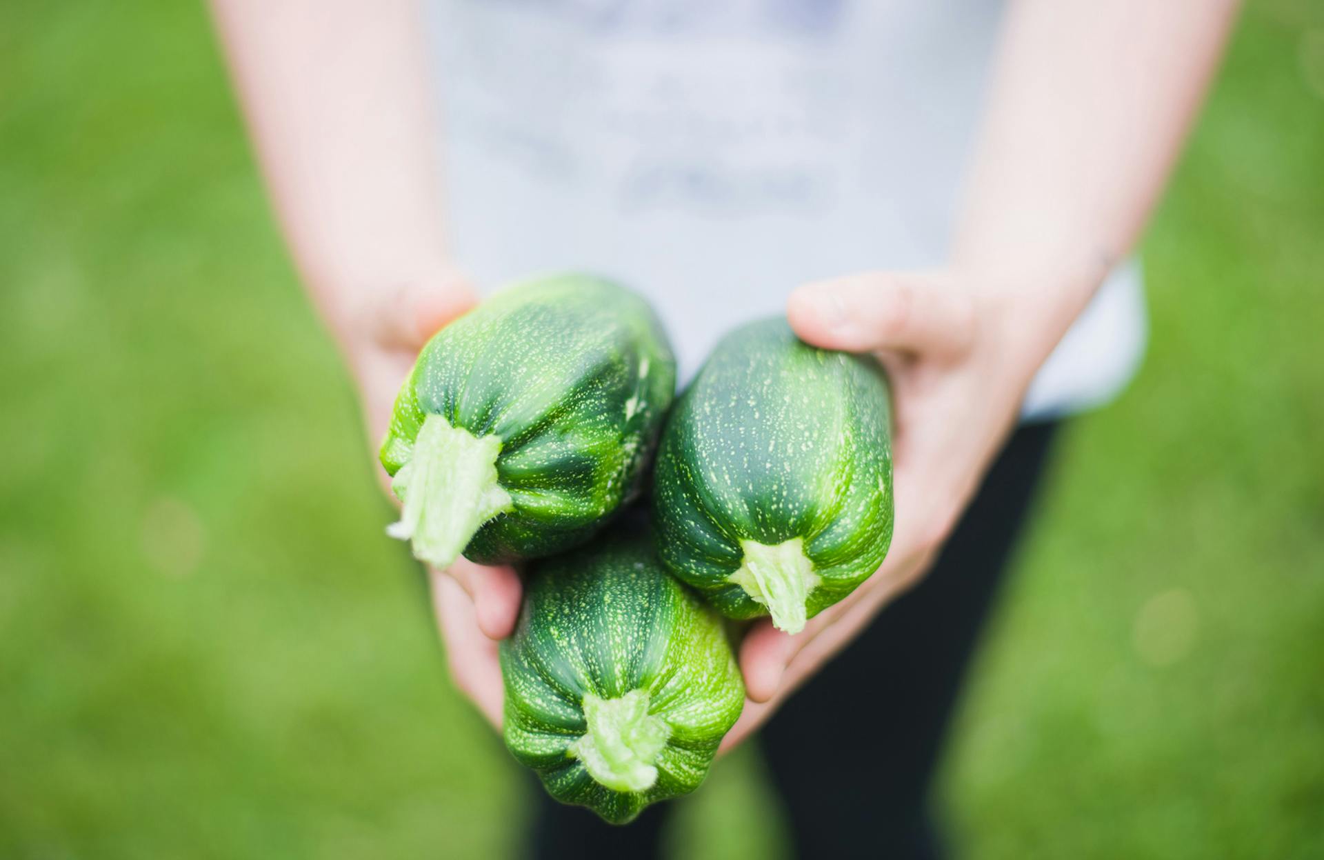Person hält drei Zucchinis in die Kamera, nur die Hände sind sichtbar